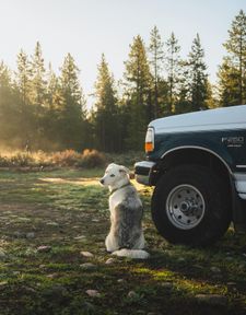 Instagram post by @roadtrip.ranger