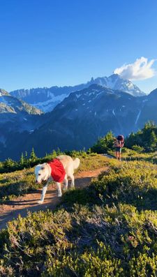 Instagram post by @roadtrip.ranger