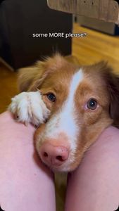 Instagram post by @whiskeytoller