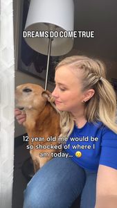 Instagram post by @whiskeytoller