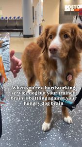 Instagram post by @whiskeytoller