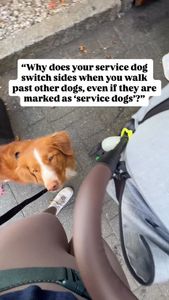 Instagram post by @whiskeytoller