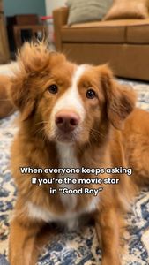 Instagram post by @whiskeytoller