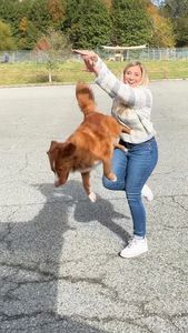 Instagram post by @whiskeytoller