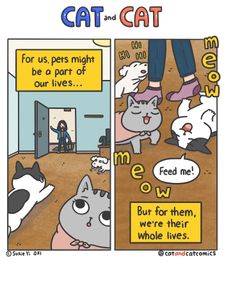 Instagram post by @catandcatcomics