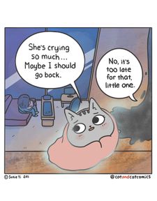 Instagram post by @catandcatcomics