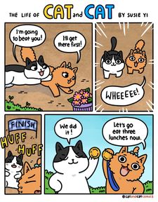 Instagram post by @catandcatcomics
