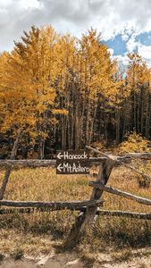 Instagram post by @fsupecas21