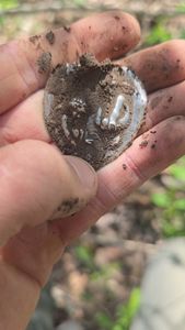 Instagram post by @relic.riley