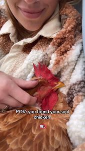 Instagram post by @theverymarylife