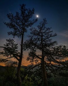 Instagram post by @outdoordetour