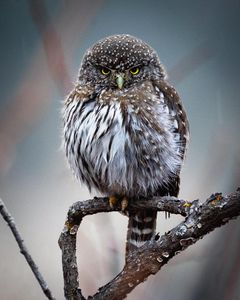 Instagram post by @outdoordetour