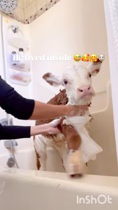 Instagram post by @madeby.meeee