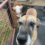 @madeby.meeee Instagram Profile