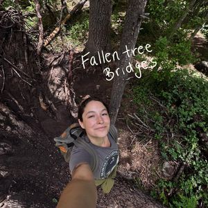 Instagram post by @rootedremembrance