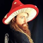 @fungiflows Instagram Profile