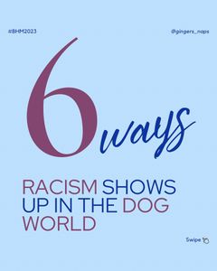 Instagram post by @gingers_naps