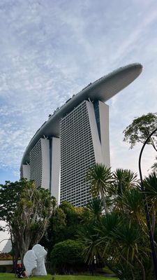 Instagram post by @marcelloascani