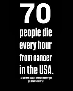 Instagram post by @lianawernergray