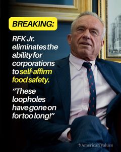 Instagram post by @lianawernergray