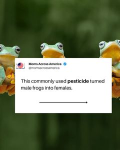 Instagram post by @lianawernergray