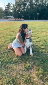 Instagram post by @bumpinbus