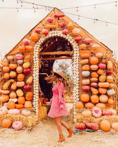 Instagram post by @windycitysofi