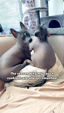 Instagram post by @zoefruitbat