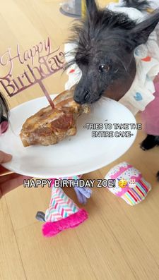 Instagram post by @zoefruitbat