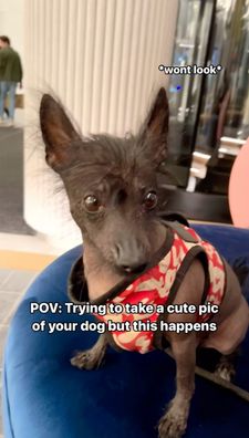 Instagram post by @zoefruitbat