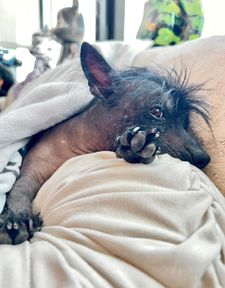 Instagram post by @zoefruitbat