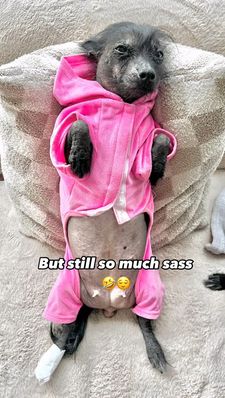 Instagram post by @zoefruitbat