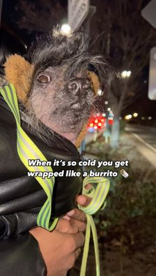 Instagram post by @zoefruitbat