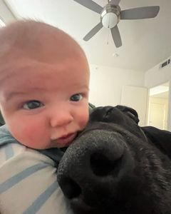 Instagram post by @theearpbrothers