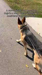 Instagram post by @theearpbrothers