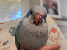 Instagram post by @mommamegxo