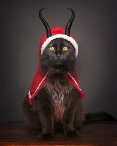 Instagram post by @purfectpose