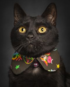 Instagram post by @purfectpose