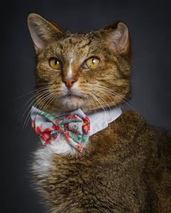 Instagram post by @purfectpose