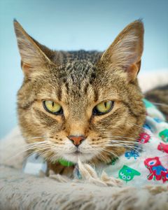 Instagram post by @purfectpose