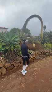 Instagram post by @rowberry