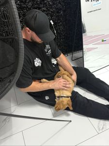 Instagram post by @realwardlow