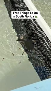 Instagram post by @lattesnluggage