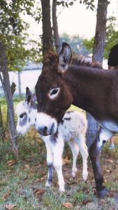 Instagram post by @amandamariepena