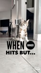 Instagram post by @jimmiebrenton_