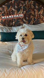 Instagram post by @explorewithgg