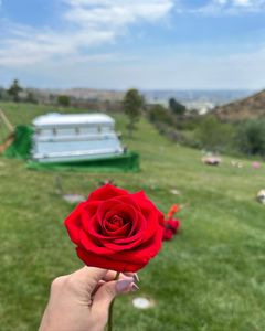 Instagram post by @ambaryvettee