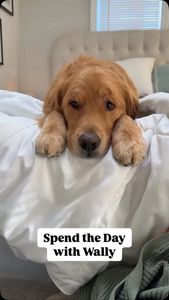 Instagram post by @wally.meets.world