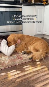 Instagram post by @wally.meets.world