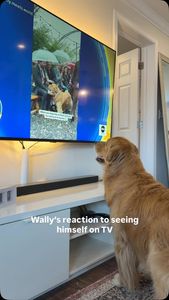 Instagram post by @wally.meets.world